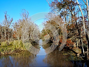 Bayou Teche Waterway in Louisiana photo