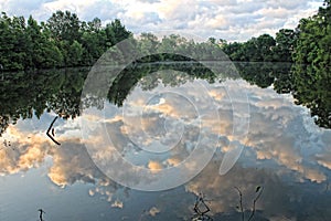 Bayou Waters Reflecting Morning Clouds