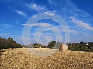 Bays of hay in a field in Spoltore, Pescara, Italy