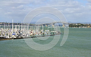 Bayswater Marina Fishing Spot Auckland New Zealand