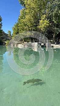 Baños de las Mulas in Lagunas de Ruidera in Castilla la Mancha, Spain.