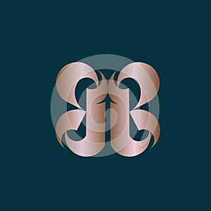 BB monogram. Abstract uppercase letter b logo. Rose gold color. Premium quality concept.
