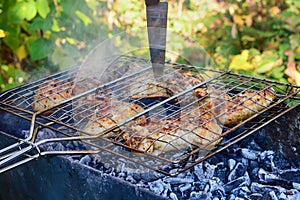 BBQ chicken wings on smoking grill over hot coals