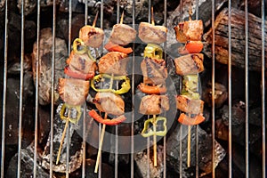 BBQ with cooking. coal grill of chicken meat and peppers