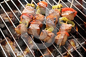 BBQ with cooking. coal grill of chicken meat and peppers