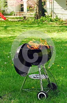 BBQ grill in backyard