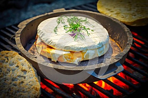 Bbq, grilled camembert cheese on grill grate with fire. Close-up view. Summer picnic outdoors.