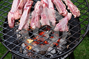 BBQ lamb ribs fried on hot charcoal