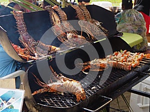 BBQ lobster at Placencia lobster festival Belize