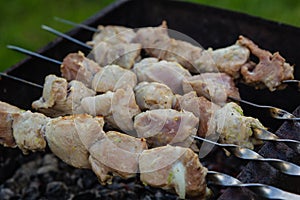 BBQ meat on grill in garden