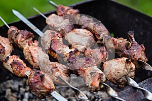 BBQ meat on grill in garden