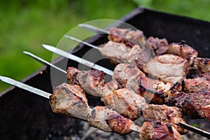 BBQ meat on grill in garden