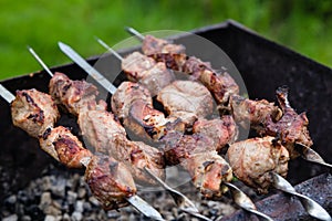 BBQ meat on grill in garden