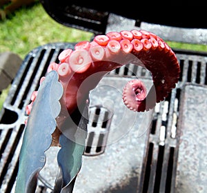 BBQ Octopus for the Grill
