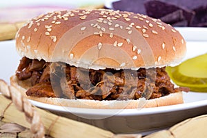 BBQ pulled pork sandwich bun