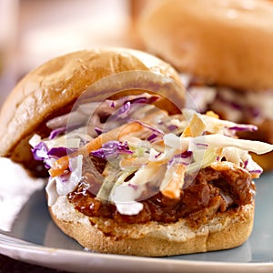 Bbq pulled pork sandwich sliders