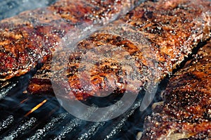 BBQ Ribs on the Grill