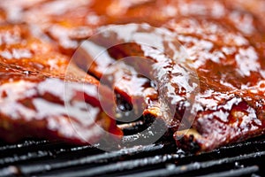 BBQ Ribs photo