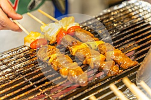 BBQ Skewers Kebabs and vegetables on skewers, colorful and delicious.