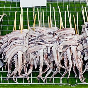 BBQ Squid on a Stick. grilled buttered fresh squid ready to eat