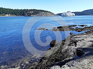 BC Ferries Sailish Orca in Active Pass photo