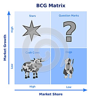 BCG matrix, growth-share matrix photo