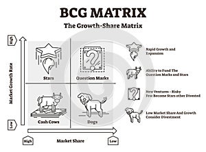 BCG matrix vector illustration. Outlined cash cows and dogs Boston graphic.