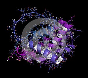 BCL-2 protein, 3D rendering. Prevents apoptosis (cell death) and often found overexpressed in cancer cells. The corresponding BCL2