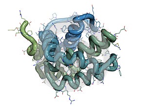 BCL-2 protein. Prevents apoptosis (cell death) and often found o