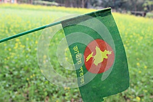 Bd flag Bangladesh Green with Flag