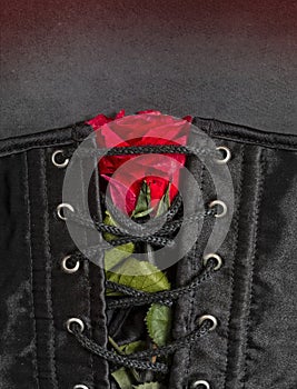 Bdsm gothic fetish corset with rose