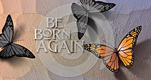 Be Born Again Butterfly Background Crack in wall