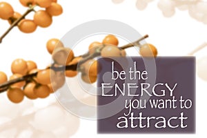 Be the Energy You Want To Attract, Karma Philosophy