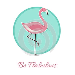 Be Flabulous Lettering illustration with Pink Flamingo. Vector isolated illustration