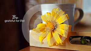 Be grateful for life. A still life concept with close-up of yellow flowers and a cup of coffee or tea on wooden tray on the table