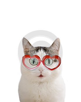 Be my Valentine card with funny cat in heart shaped red eye glasses and copy space isolated on white