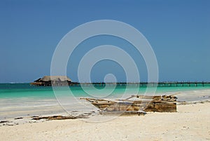 Beach photo