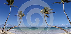 Beach photo