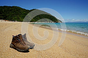 Beach at Abel Tasman National Park in New Zealand