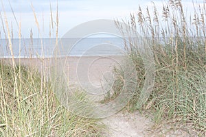 Beach Access Atlantic