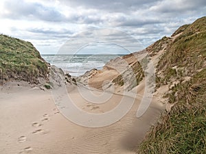 Beach access in the dunes on the Danish North Sea coast in Jutland near Norre Vorupor