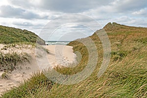 Beach access in the dunes on the Danish North Sea coast in Jutland near Norre Vorupor