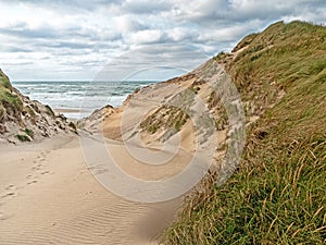 Beach access in the dunes on the Danish North Sea coast in Jutland near Norre Vorupor