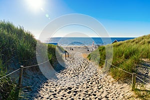 Beach access in the dunes of Texel, Netherlands photo