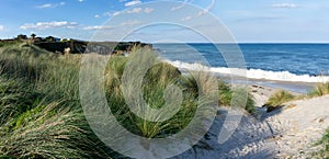 Beach access through marsh grass and sand dunes to a secluded sandy beach photo