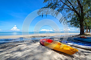 Beach activity, canoe on the beach