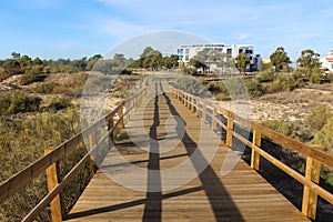 Beach of Adam and Eve in Portugal