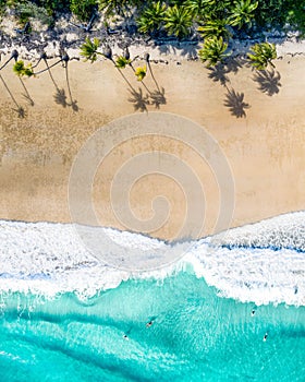 Beach aerial with palm trees, blue turquoise ocean and white sand. Magazine cover for travel, lifestyle, fashion