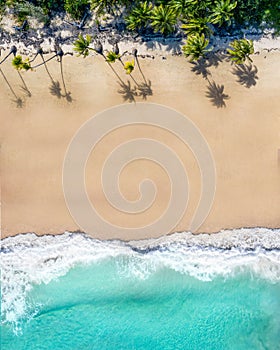 Beach aerial with palm trees, blue turquoise ocean and white sand. Magazine cover for travel, lifestyle, fashion