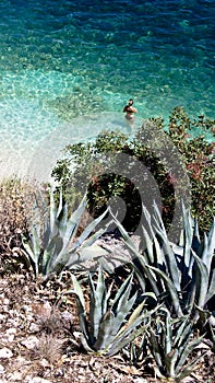 Beach of Agia Efimia, Cephalonia